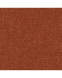 Earthy Rust