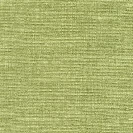 Grass